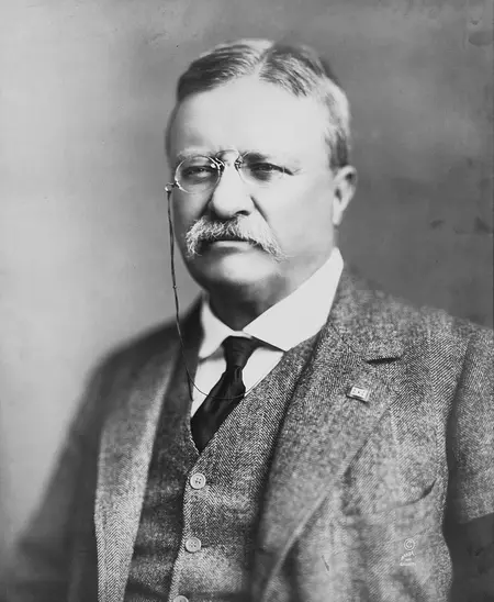 Theodore Roosevelt in 1918 28grayscale29